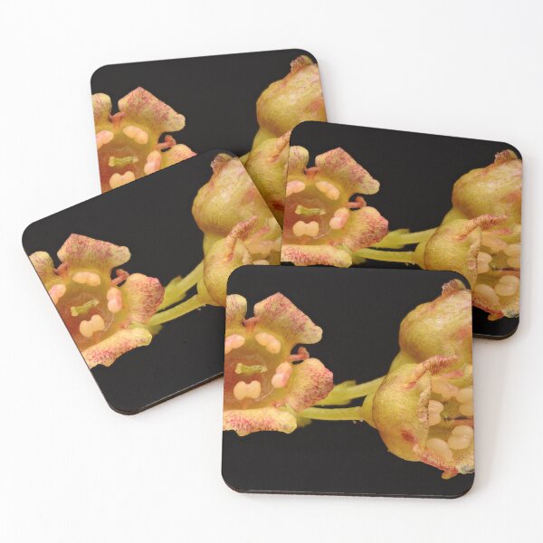Item preview, Macro Photo of Tiny Yellow-Red Spotted Flowers designed and sold by Goiko7Margarita.