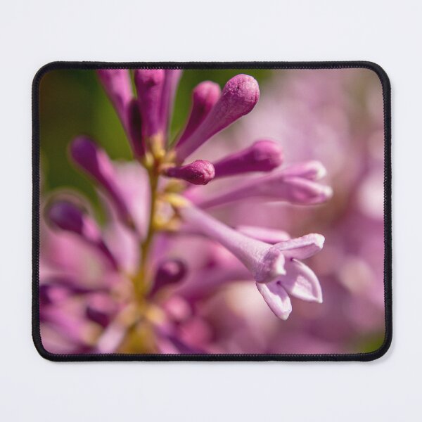 Item preview, Lilac Bud designed and sold by Robert Lynch.