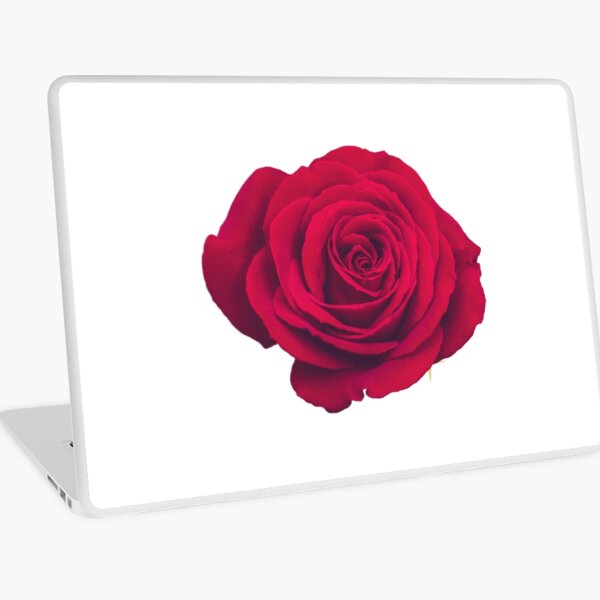 Aperçu de l'œuvre fleur rose design vintage créée et vendue par Thahierahdesign.