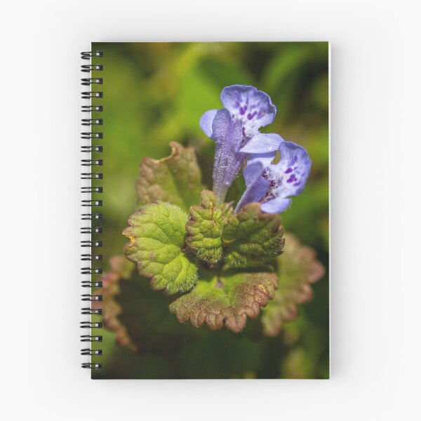 Item preview, Little Purple Flower designed and sold by Robert Lynch.