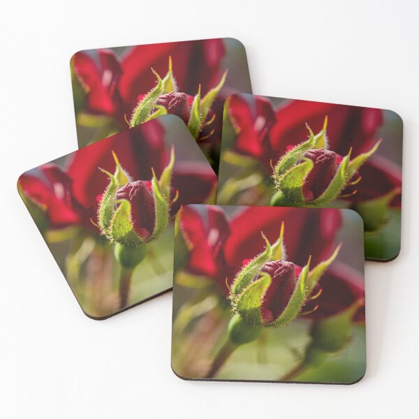 Item preview, Rosebud designed and sold by Robert Lynch.