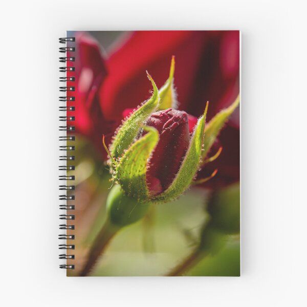 Item preview, Rosebud designed and sold by Robert Lynch.