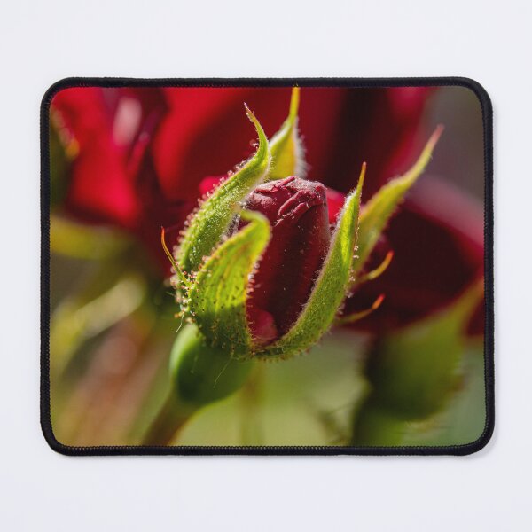 Item preview, Rosebud designed and sold by Robert Lynch.