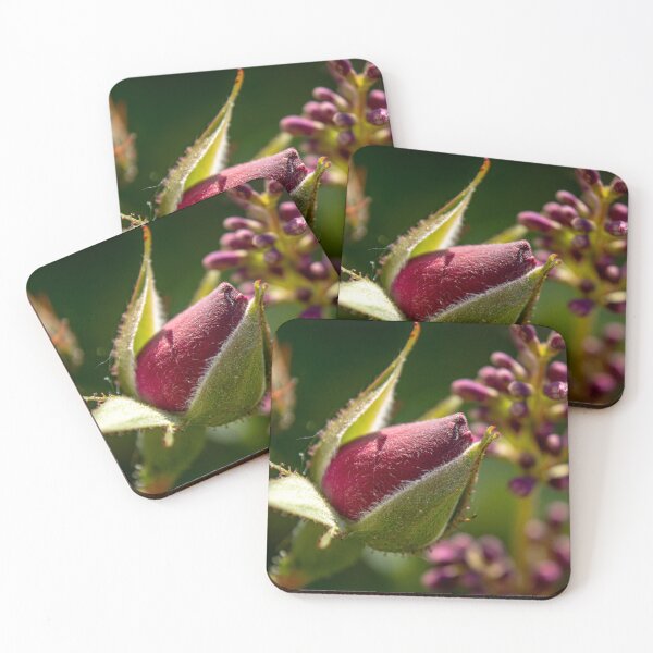 Item preview, Rosebud by Lilacs designed and sold by Robert Lynch.