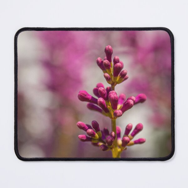 Item preview, Vertical Lilac Buds designed and sold by Robert Lynch.
