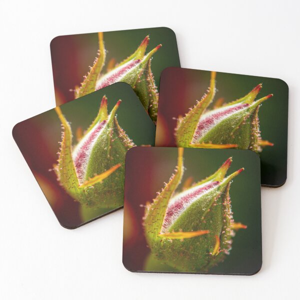 Item preview, Rosebud Macro designed and sold by Robert Lynch.