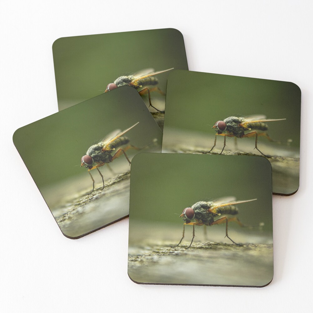 Item preview, Coasters (Set of 4) designed and sold by Robert Lynch.