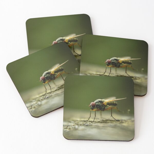 Item preview, Fly designed and sold by Robert Lynch.