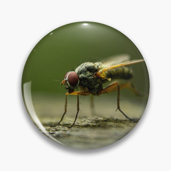 Item preview, Fly designed and sold by Robert Lynch.
