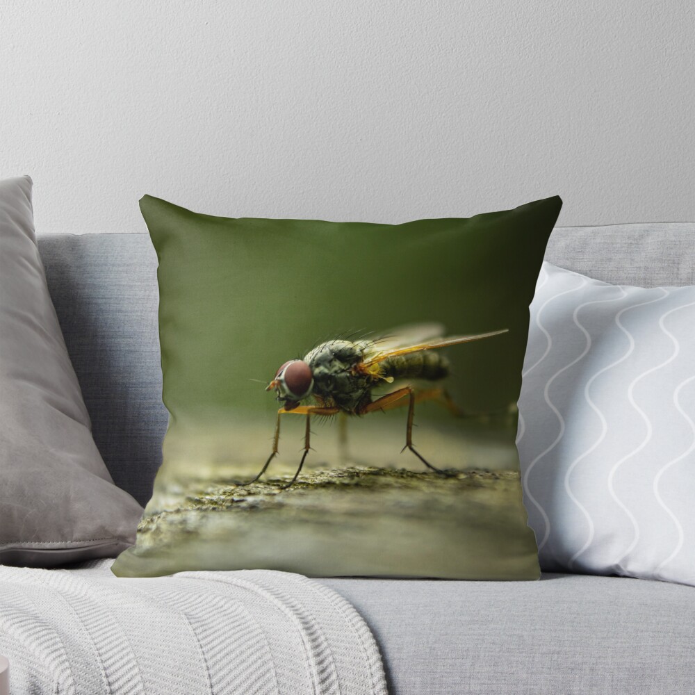 Item preview, Throw Pillow designed and sold by Robert Lynch.