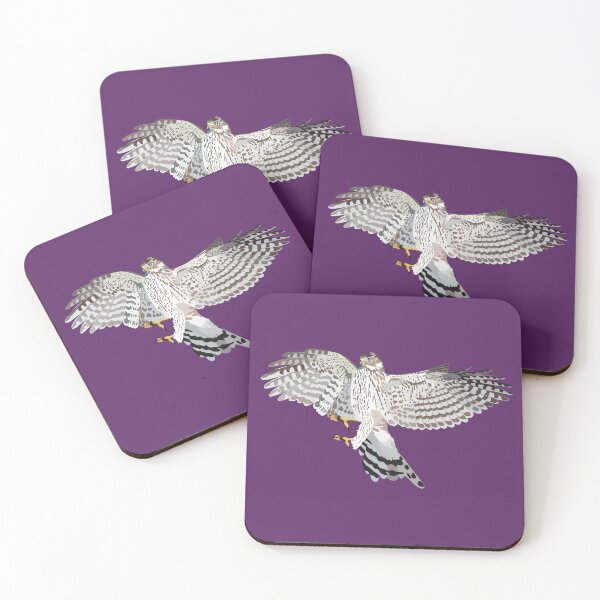 Item preview, C is for Coopers Hawk, Cooper's Hawk Bird of Prey – Raptor Wildlife Art Design designed and sold by PrettylittlepastelUk.