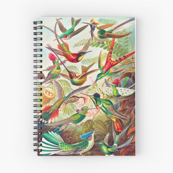 Item preview, Ernst Haeckel: Colibris (Hummingbirds) designed and sold by PinkDuckTees.