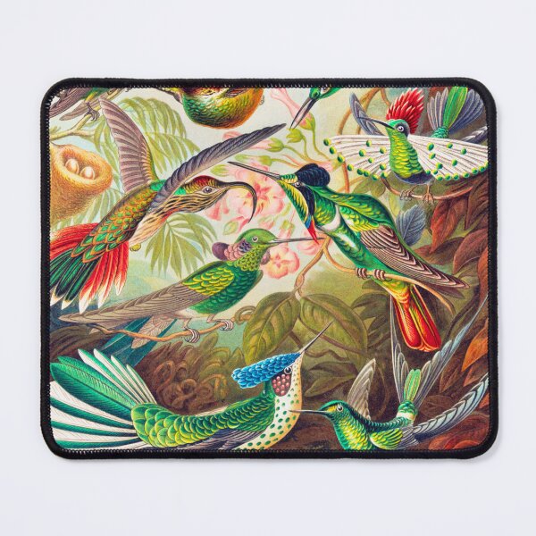 Item preview, Ernst Haeckel: Colibris (Hummingbirds) designed and sold by PinkDuckTees.