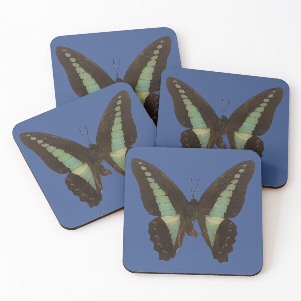 Item preview, Common Bluebottle Butterfly Graphium Sarpedon designed and sold by Linklandiya.
