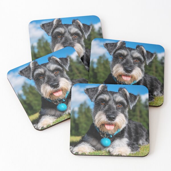 Item preview, Cute Mini Schnauzer Dog Lying on Grass designed and sold by TheAnimalZ00.