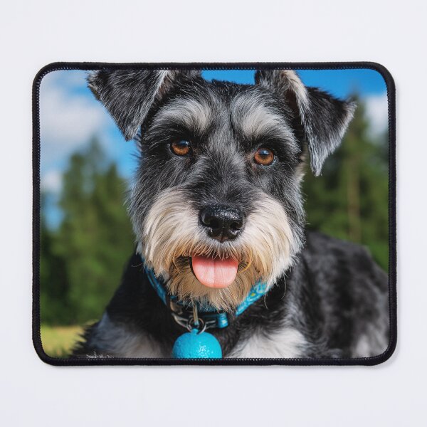 Item preview, Cute Mini Schnauzer Dog Lying on Grass designed and sold by TheAnimalZ00.