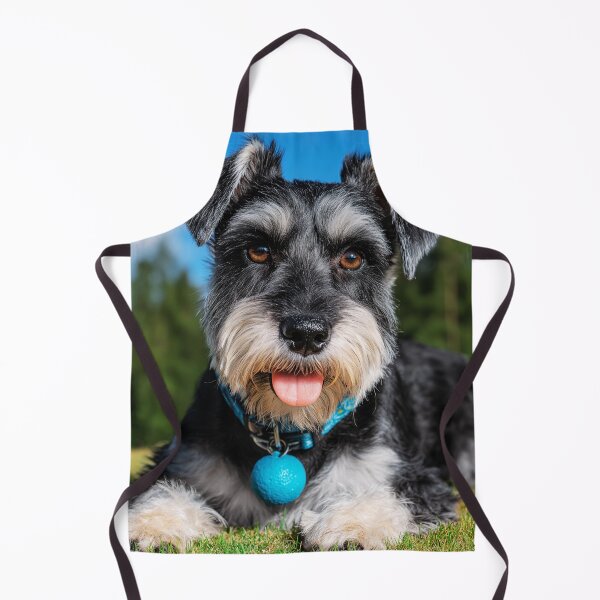 Item preview, Cute Mini Schnauzer Dog Lying on Grass designed and sold by TheAnimalZ00.