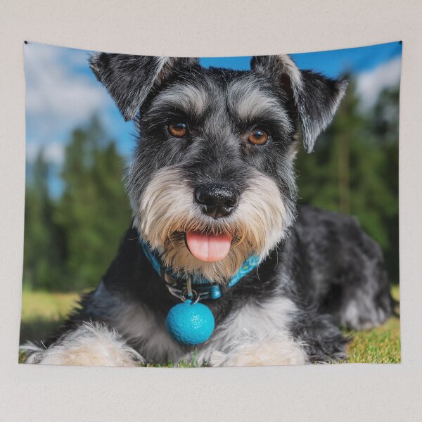 Item preview, Cute Mini Schnauzer Dog Lying on Grass designed and sold by TheAnimalZ00.