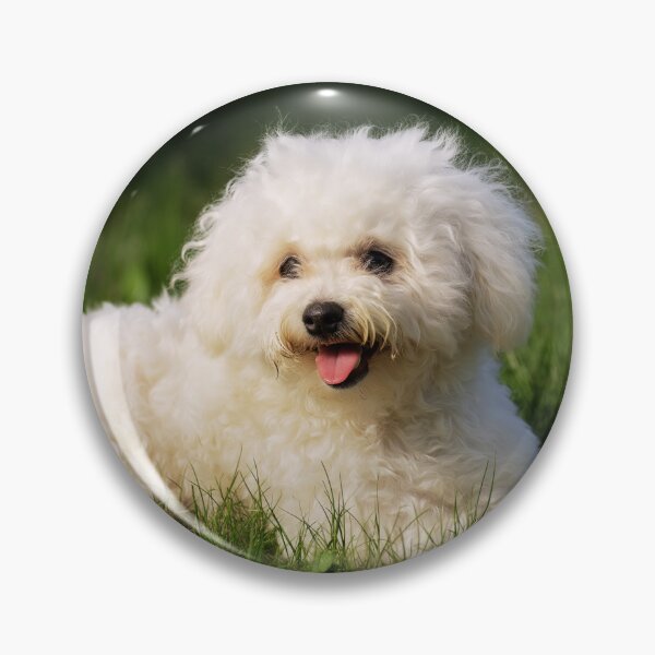 Item preview, Adorable Bichon Frise Dog Lying on Grass designed and sold by TheAnimalZ00.