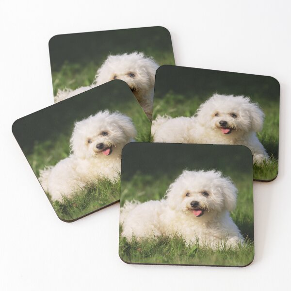 Item preview, Adorable Bichon Frise Dog Lying on Grass designed and sold by TheAnimalZ00.