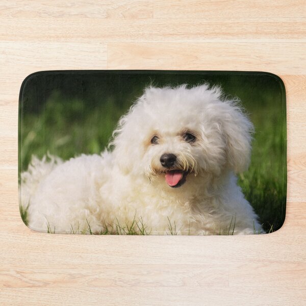 Item preview, Adorable Bichon Frise Dog Lying on Grass designed and sold by TheAnimalZ00.