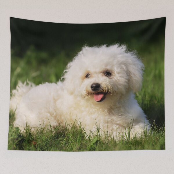 Item preview, Adorable Bichon Frise Dog Lying on Grass designed and sold by TheAnimalZ00.