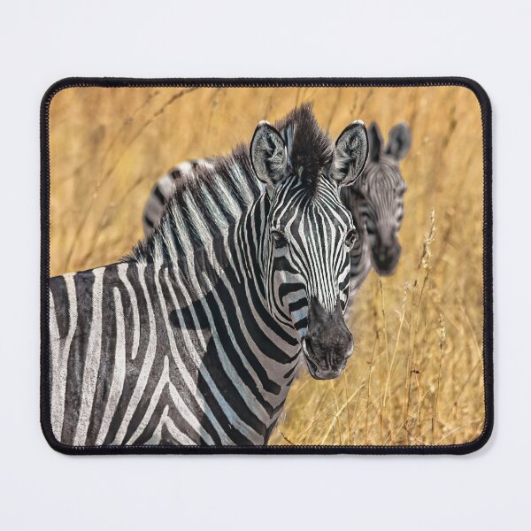 Item preview, Zebra Duo designed and sold by Kay Brewer.