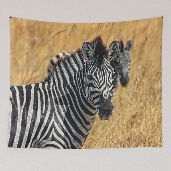 Item preview, Zebra Duo designed and sold by Kay Brewer.