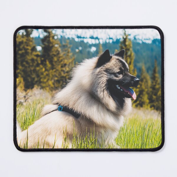 Item preview, Eurasier Dog Lying on Grass designed and sold by TheAnimalZ00.