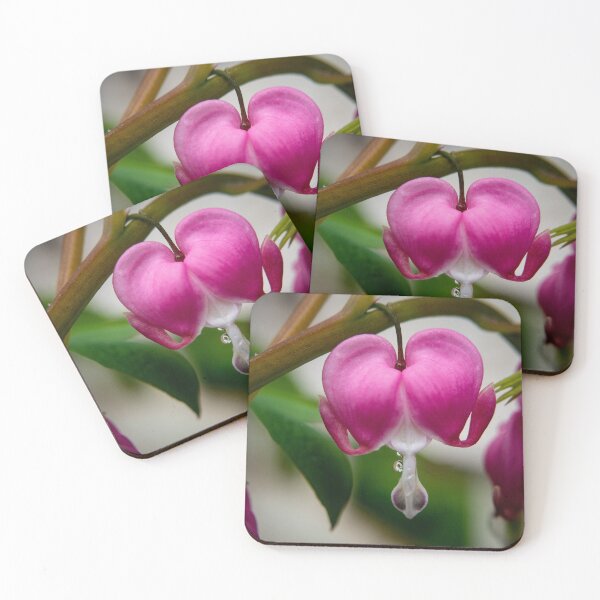Item preview, Bleeding Heart Flower Photography designed and sold by TriciaPhotos.