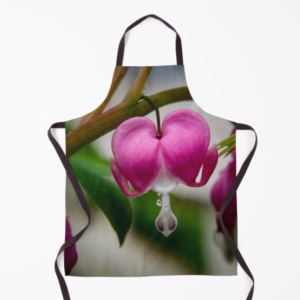 Item preview, Bleeding Heart Flower Photography designed and sold by TriciaPhotos.