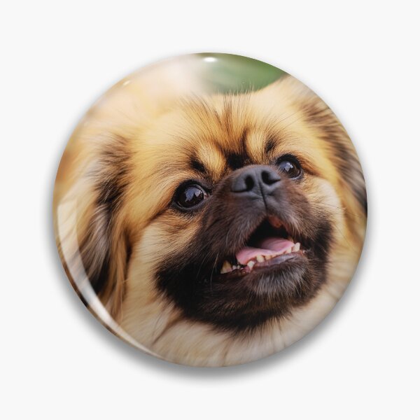 Item preview, Playful Tibetan Spaniel Dog Portrait designed and sold by TheAnimalZ00.