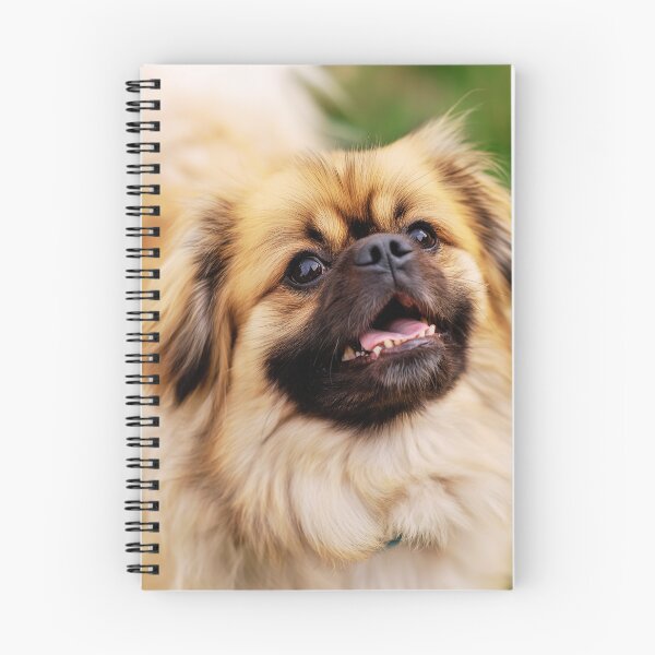 Item preview, Playful Tibetan Spaniel Dog Portrait designed and sold by TheAnimalZ00.