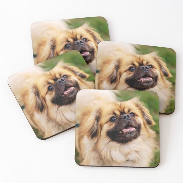 Item preview, Playful Tibetan Spaniel Dog Portrait designed and sold by TheAnimalZ00.
