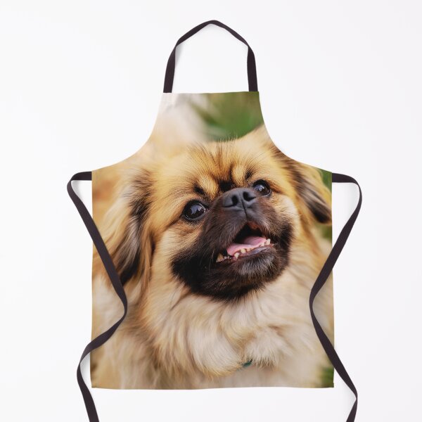 Item preview, Playful Tibetan Spaniel Dog Portrait designed and sold by TheAnimalZ00.
