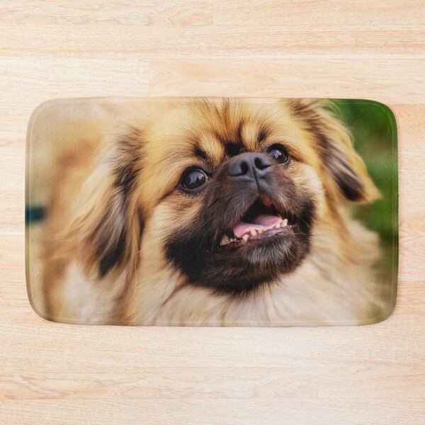 Item preview, Playful Tibetan Spaniel Dog Portrait designed and sold by TheAnimalZ00.