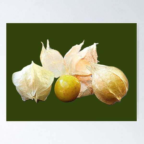 Item preview, Food of the Inca's ( 3 )  designed and sold by Larry Davis.