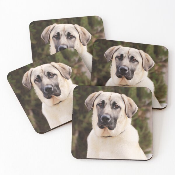 Item preview, Anatolian Shepherd Dog Portrait designed and sold by TheAnimalZ00.