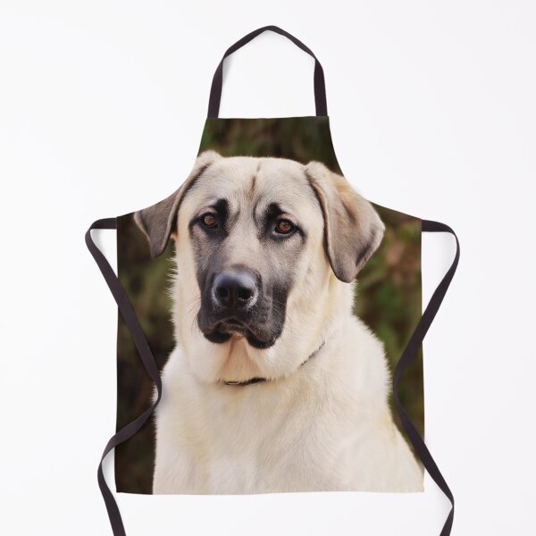 Item preview, Anatolian Shepherd Dog Portrait designed and sold by TheAnimalZ00.