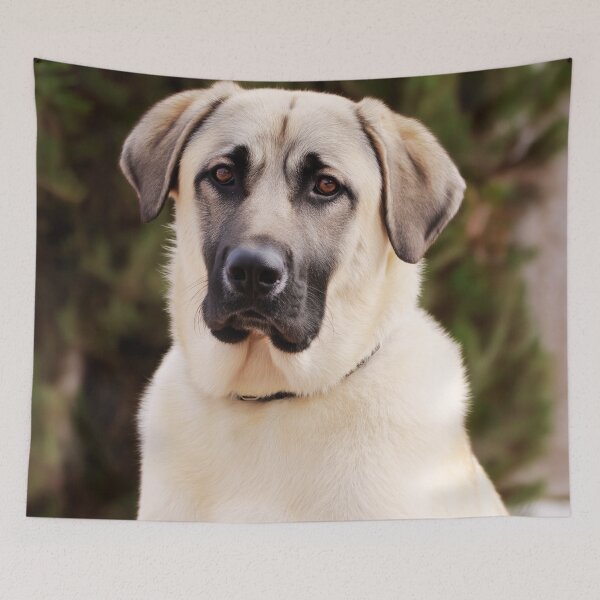 Item preview, Anatolian Shepherd Dog Portrait designed and sold by TheAnimalZ00.