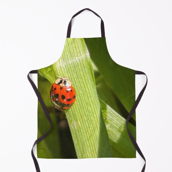 Item preview, Ladybug with Dewdrops designed and sold by Moleshavesouls.