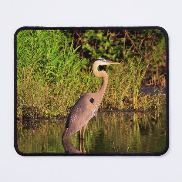 Item preview, Majestic Great Blue Heron in Wetland Habitat designed and sold by TheAnimalZ00.