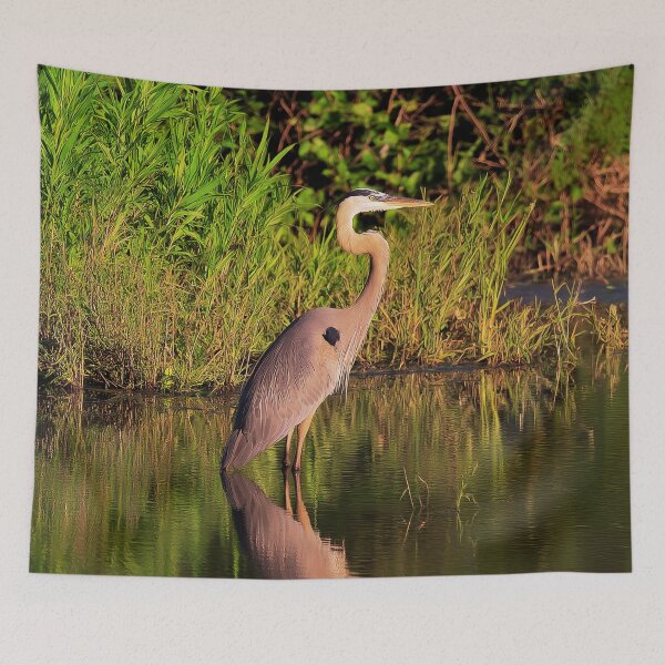 Item preview, Majestic Great Blue Heron in Wetland Habitat designed and sold by TheAnimalZ00.