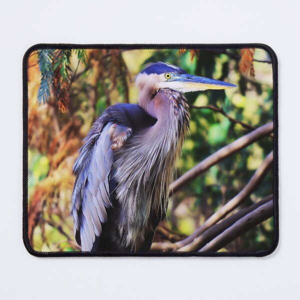Item preview, Portrait of Great Blue Heron on Tree Branch designed and sold by TheAnimalZ00.