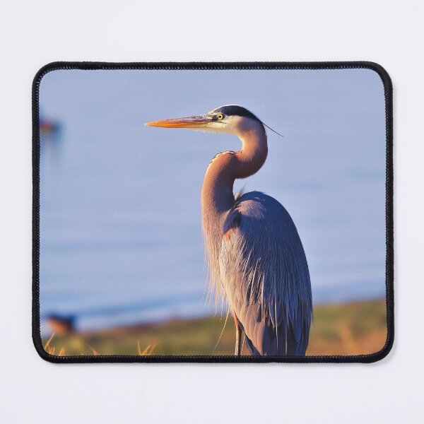 Item preview, Elegant Great Blue Heron on Shoreline at Sunset designed and sold by TheAnimalZ00.