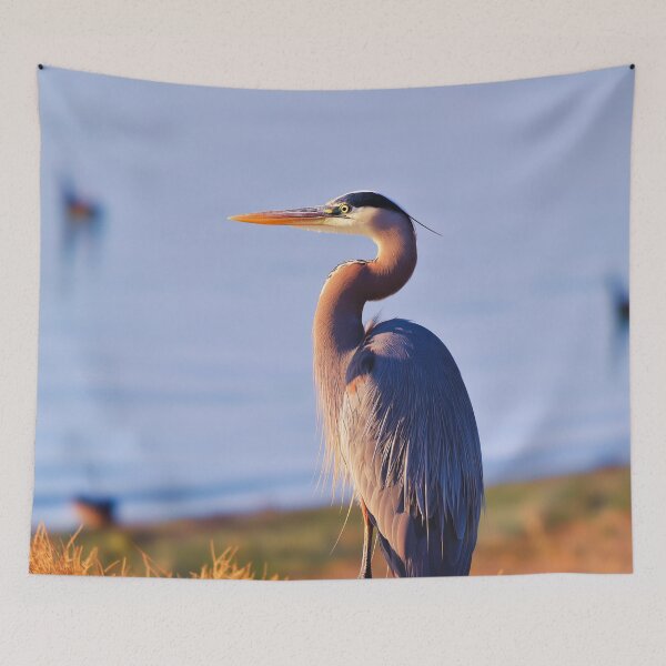 Item preview, Elegant Great Blue Heron on Shoreline at Sunset designed and sold by TheAnimalZ00.