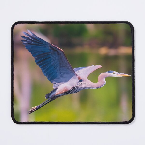 Item preview, Flying Great Blue Heron designed and sold by TheAnimalZ00.