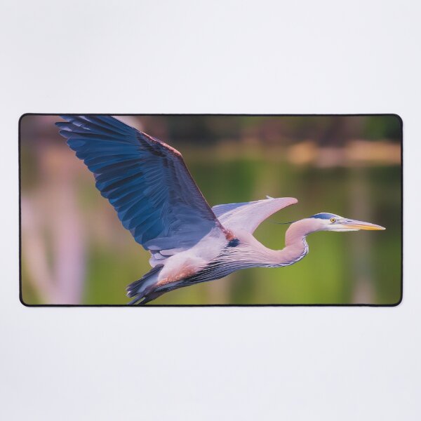 Item preview, Flying Great Blue Heron designed and sold by TheAnimalZ00.