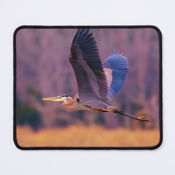 Item preview, Great Blue Heron in Flight at Golden Hour designed and sold by TheAnimalZ00.