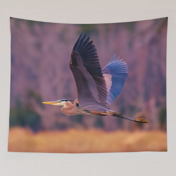 Item preview, Great Blue Heron in Flight at Golden Hour designed and sold by TheAnimalZ00.